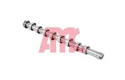 NOCKENWELLE AMC 647451 2