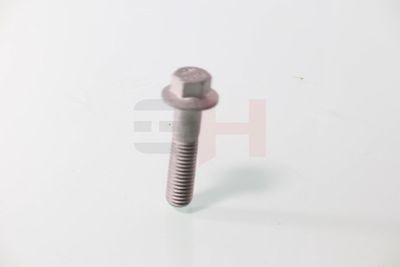 SURUB CAPAT DE AX GH GH392549 22