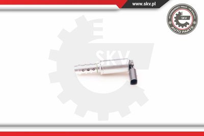 Регулирующий клапан, выставление распределительного вала ESEN SKV 39SKV009 для KTM X-Bow
