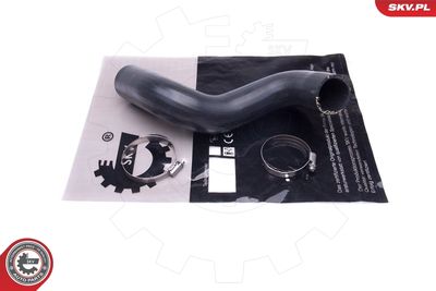 FURTUN EAR SUPRAALIMENTARE