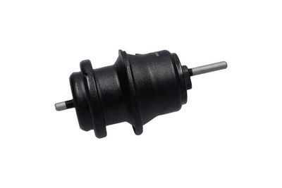 SUPORT MOTOR Kavo Parts EEM8013 21