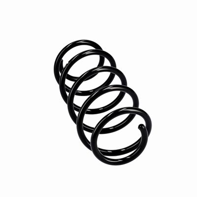 ARC SPIRAL EIBACH R10341 12