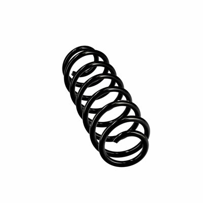 ARC SPIRAL EIBACH R10403 24