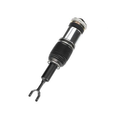 LUFTFEDERBEIN Arnott AS3230 60