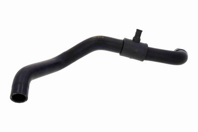 KüHLERSCHLAUCH VAICO V420836 2