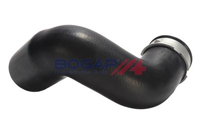 FURTUN EAR SUPRAALIMENTARE BOGAP B1711155 2