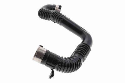 FURTUN EAR SUPRAALIMENTARE ACKOJA A380687 4
