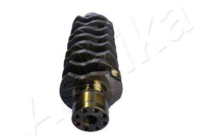 ARBORE COTIT ASHIKA 18IS001 1