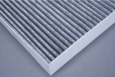 FILTRU AER HABITACLU AUTOMEGA 210178610 2