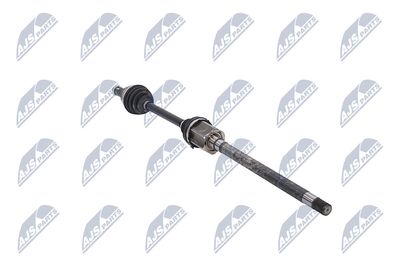 PLANETARA NTY NPWLR031 30