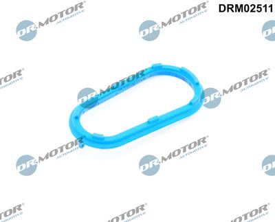 Uszczelnienie, doładowanie DR.MOTOR AUTOMOTIVE DRM02511
