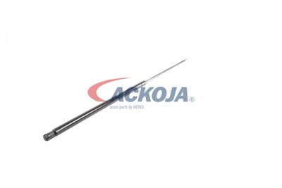 AMORTIZOR PORTBAGAJ ACKOJA A520065 55