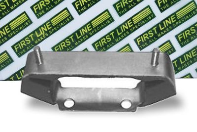 окачване, двигател FIRST LINE FEM3313