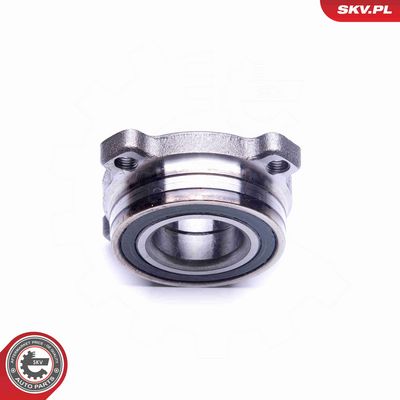 SET RULMENT ROATA ESEN SKV 29SKV202 3