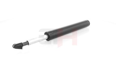 AMORTIZOR GH GH344794 10