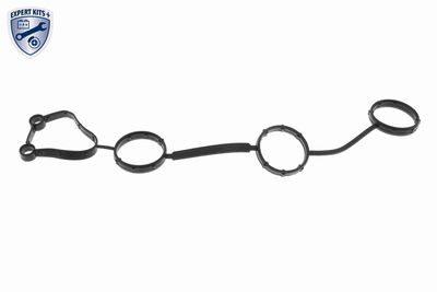 GARNITURA CAPAC SUPAPE