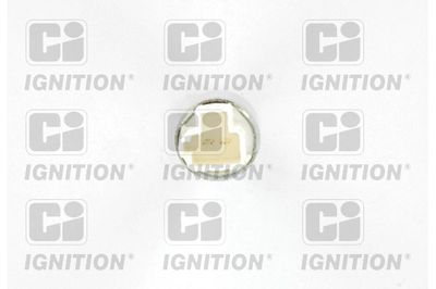 INTRERUPATOR CONTROL AUTOMAT AL VITEZEI