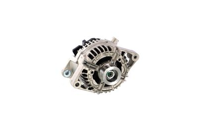 GENERATOR / ALTERNATOR REMANTE 011003000006R 7