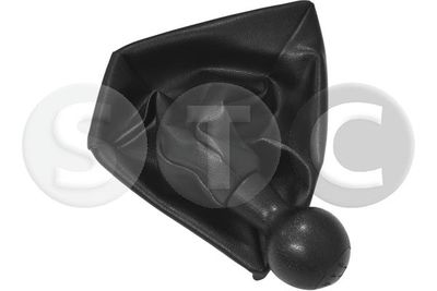 MACIULIE MANETA SCHIMBAT.VIT.