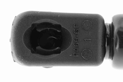 GASFEDER KOFFER-/LADERAUM VAICO V400596 1