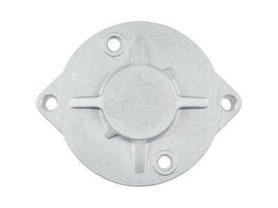 AS-PL Starterdeckel, Vergaser