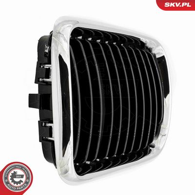 GRILA RADIATOR ESEN SKV 66SKV053 5