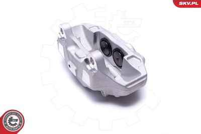 Brake Caliper 42SKV412