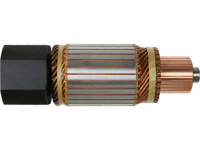 AS-PL - Rotor, štartér , SA0001
