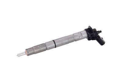 INJECTOR REMANTE 002003000171R 8