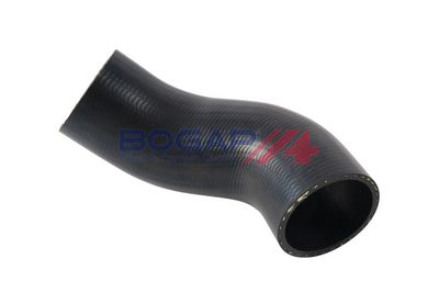 FURTUN EAR SUPRAALIMENTARE BOGAP V1711110