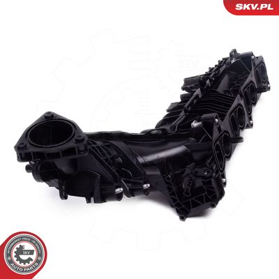 Intake Manifold Module 49SKV078