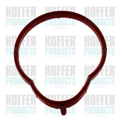 HOFFER 016175 Прокладка впускного коллектора для BMW Z3 Roadster (E36) 1.9 i HOFFER 016175 Прокладка впускного коллектора для BMW Z3 Roadster (E36) 1.9 i