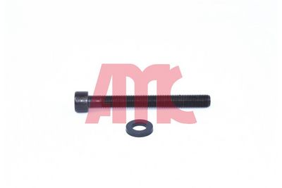 ZYLINDERKOPFSCHRAUBENSATZ AMC 258044 2