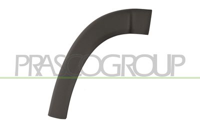 ELEMENTE DECORATIVE/PROTECTIE ARIPA