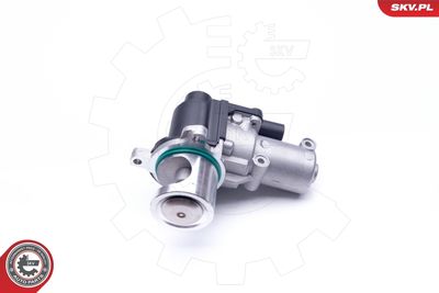 EGR Valve 14SKV164