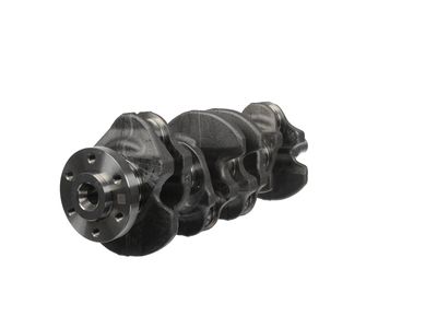ARBORE COTIT ET ENGINETEAM HK0237 25