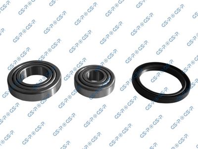 SET RULMENT ROATA GSP GK0Y09