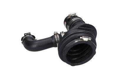 FURTUN EAR SUPRAALIMENTARE