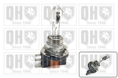 BEC FAR FAZA LUNGA QUINTON HAZELL QBL715 1