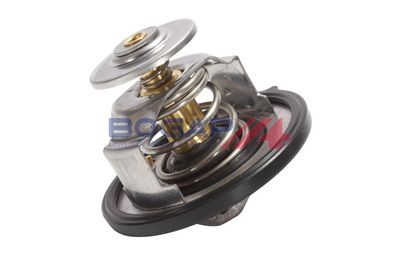 TERMOSTAT LICHID RACIRE BOGAP Y4234109 2