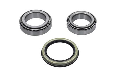 Kavo Parts Rato guolio komplektas