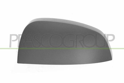 ACOPERIRE OGLINDA EXTERIOARA