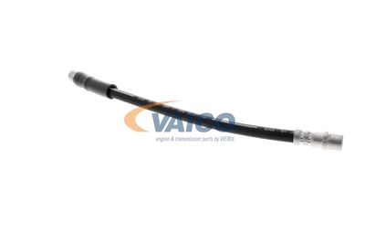 FURTUN FRANA VAICO V250900 40