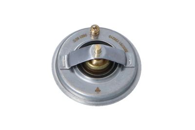 TERMOSTAT LICHID RACIRE NRF 725210 5