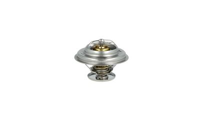TERMOSTAT LICHID RACIRE NRF 725086 46