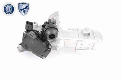 AGR-VENTIL VEMO V22630004 2