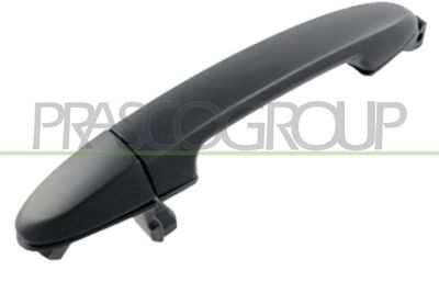 MANER USA PRASCO HN8168003