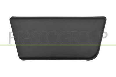 ELEMENTE DECORATIVE/PROTECTIE PORTIERA