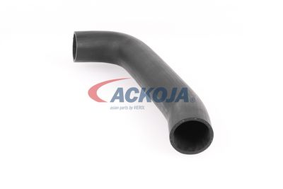 FURTUN EAR SUPRAALIMENTARE ACKOJA A379602 21