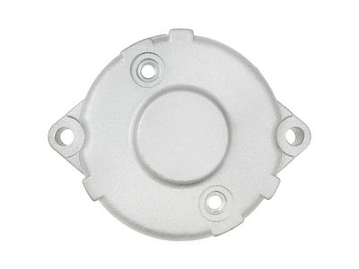 AS-PL Starterdeckel, Vergaser